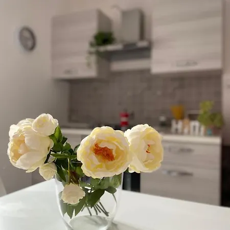 Appartement Bobo's *